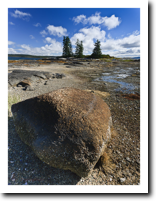 Boulder at Low Tide,Harriman Point, Brooklin, ME (2010)