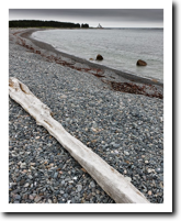 Pebble Beach, Little Cranberry Island, ME (2009)