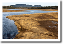 Marsh, Tremont, ME (2006)