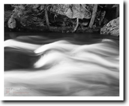 Cathance River, ME (2009)